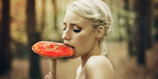 Microdosing Fly Agaric (Amanita muscaria)