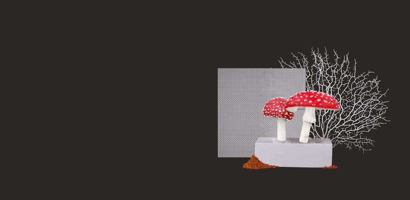 Red Cap