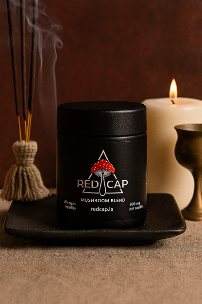 AMANITA MUSCARIA (MUHOMOR) - Premium Mushroom from Red Cap - Just $74.99! Shop now at Red Cap